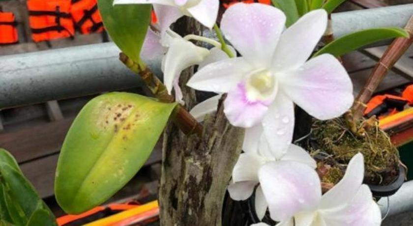 Orchid Lake House Ban Wang Khon Dış mekan fotoğraf
